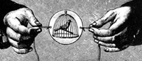 Thaumatrope